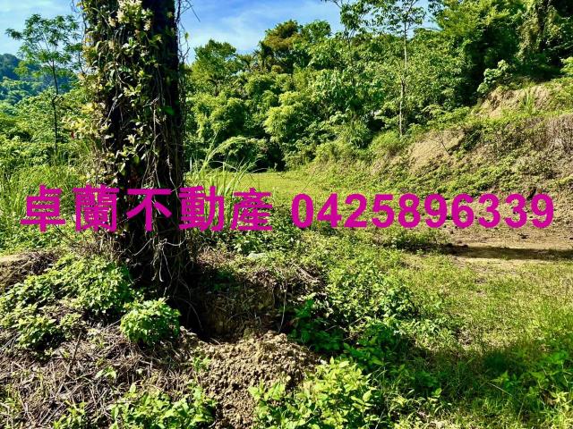 苗栗農地-10