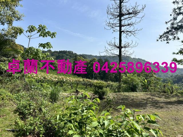 苗栗農地-2