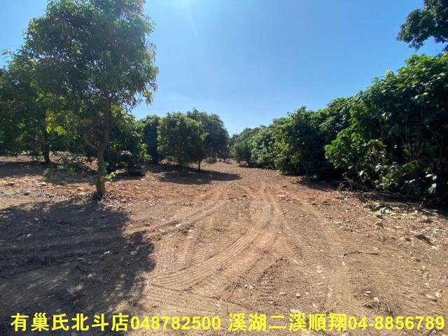 彰化社頭農地_建地_殯葬用地-1