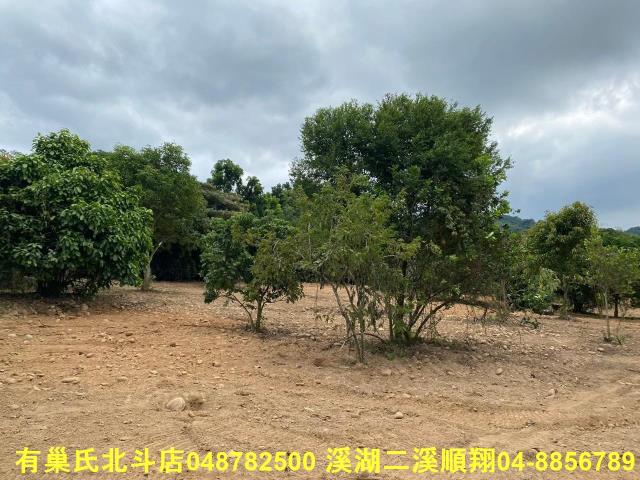 彰化社頭農地_建地_殯葬用地-3