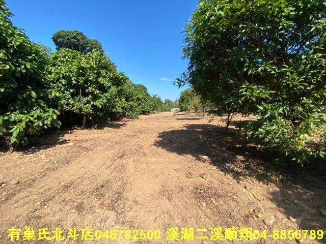 彰化社頭農地_建地_殯葬用地-4