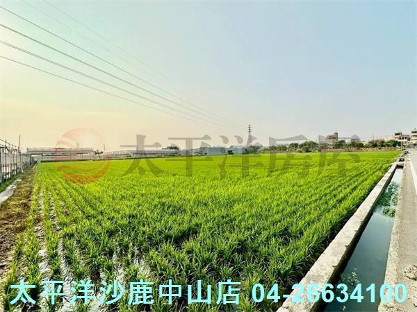 台中大肚農地-4