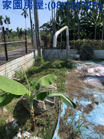 屏東長治農地_休閒地-7