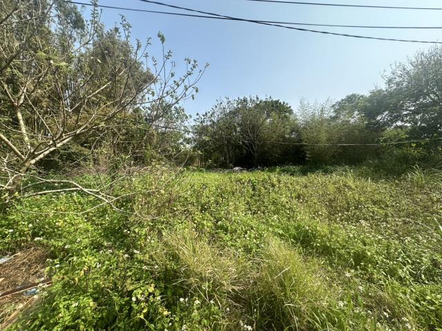 大園農地_建地-4