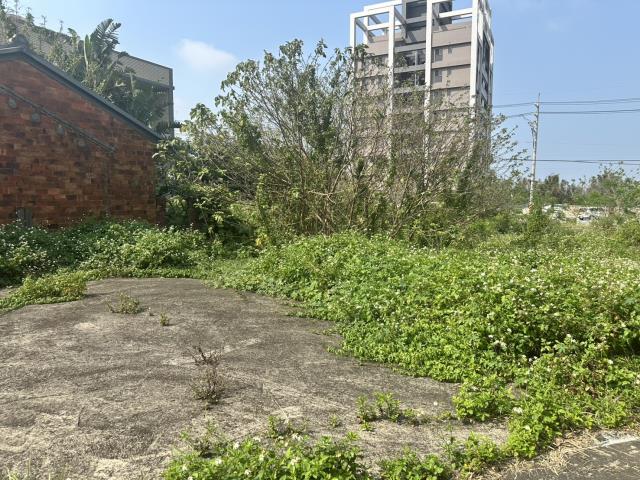 大園農地_建地-5