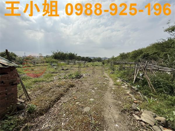 大溪農地_建地-2