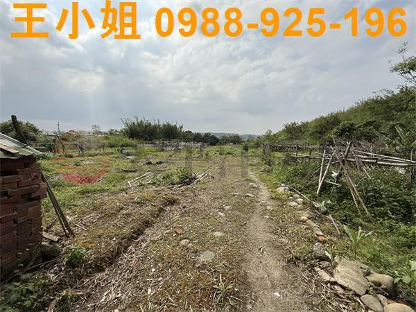大溪農地_建地-3