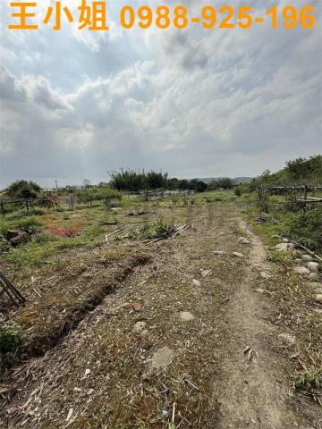 大溪農地_建地-7