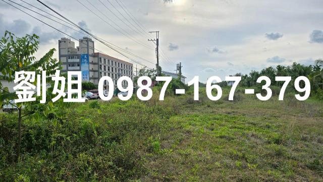 屏東農地-3