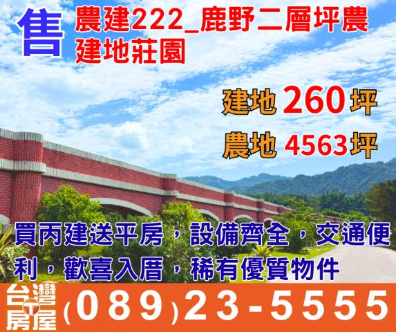 台東鹿野農地_建地-1