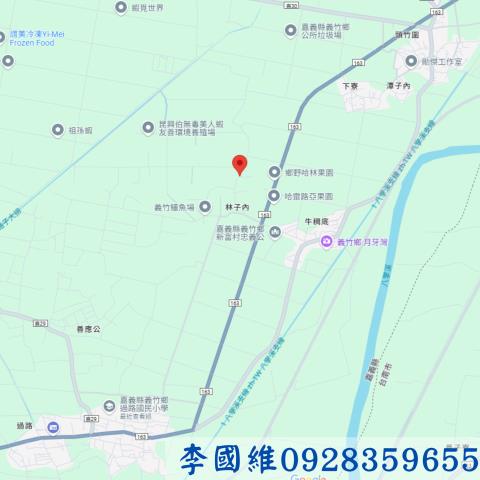 義竹法拍農地-4