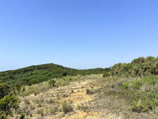 苗栗工業地-2