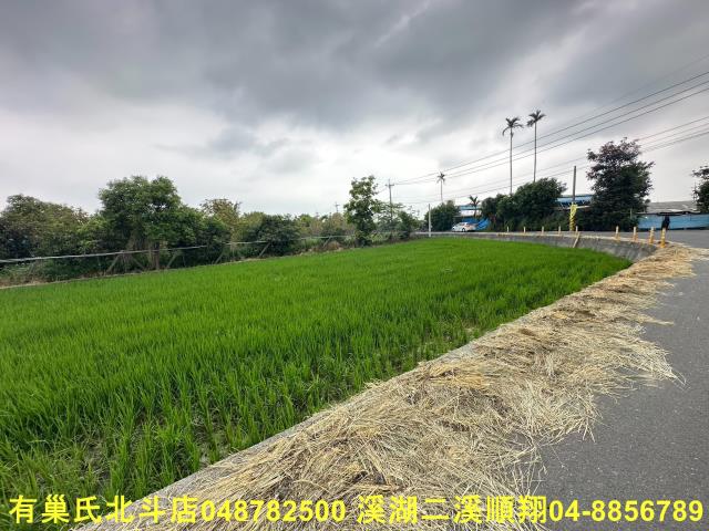 彰化二林農地-4