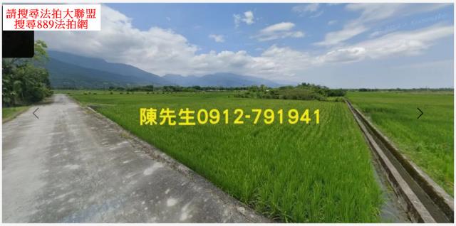 花蓮鳳林農地法拍-2