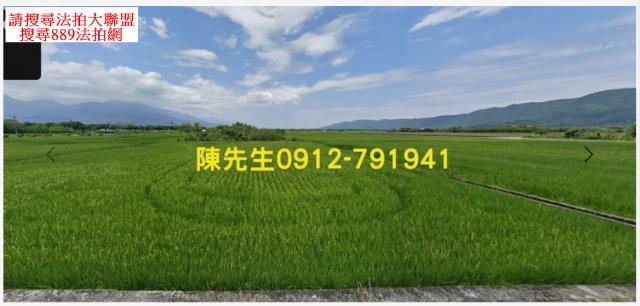花蓮鳳林農地法拍-8