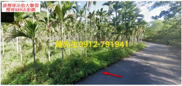花蓮壽豐農地_山坡地_原住民保留地法拍-10