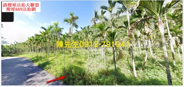 花蓮壽豐農地_山坡地_原住民保留地法拍-11