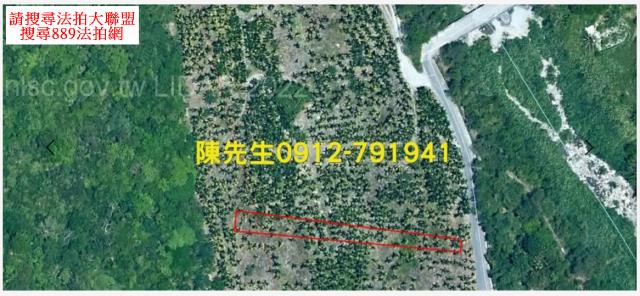 花蓮壽豐農地_山坡地_原住民保留地法拍-12