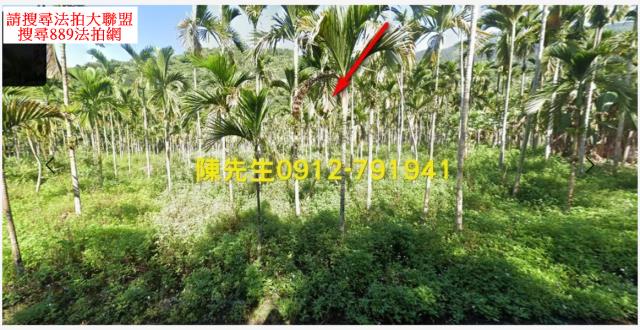 花蓮壽豐農地_山坡地_原住民保留地法拍-8