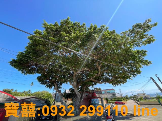 台中后里建地_住宅地-10