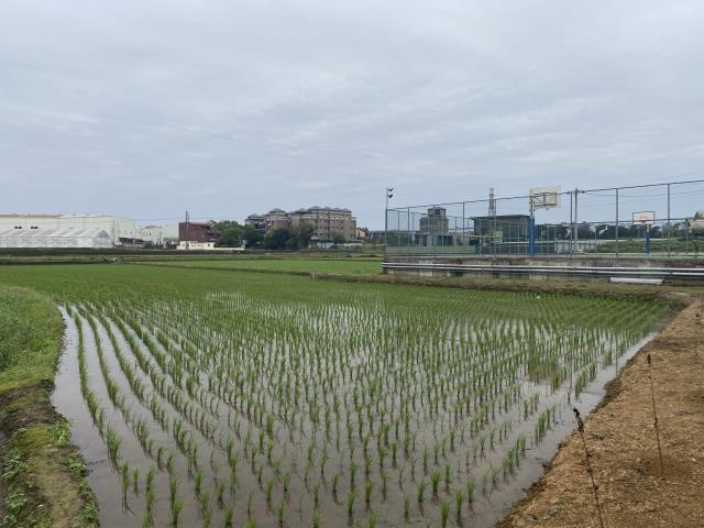 中壢農地-7