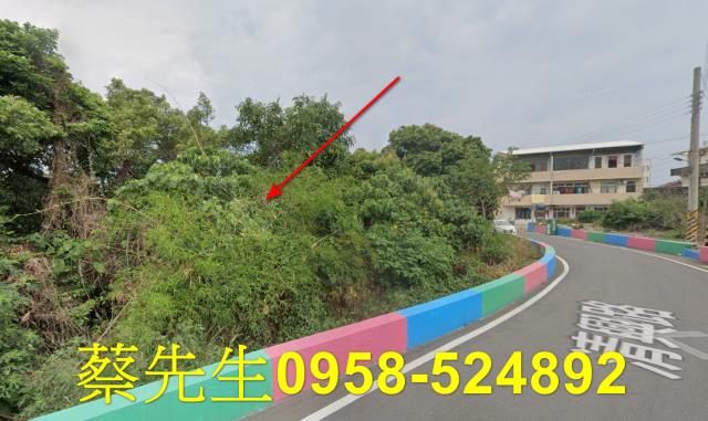 彰化社頭建地法拍-9