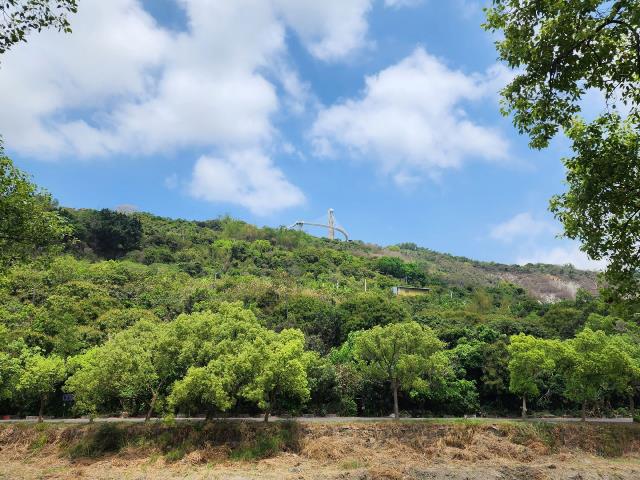 高雄燕巢農地-4