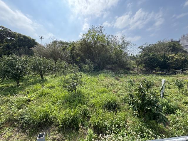 中壢農地-2