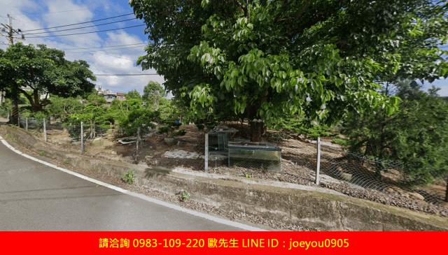 苗栗銅鑼法拍農地_山坡地-10