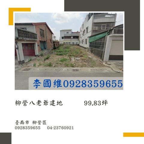 柳營法拍建地-0