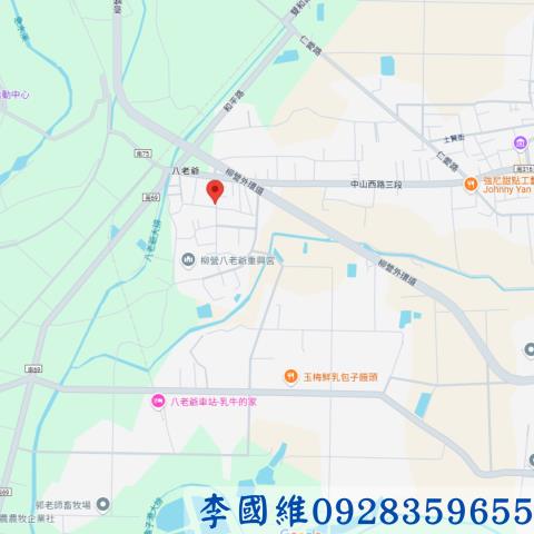 柳營法拍建地-3