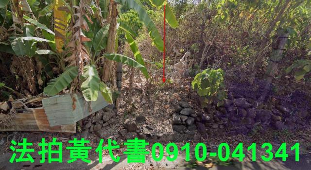 高雄田寮法拍農地_山坡地-1