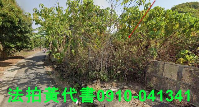 高雄田寮法拍農地_山坡地-6