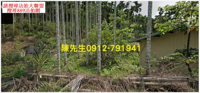 國姓農地_山坡地法拍-11
