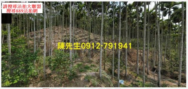 國姓農地_山坡地法拍-2