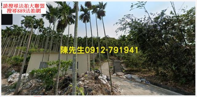 國姓農地_山坡地法拍-9