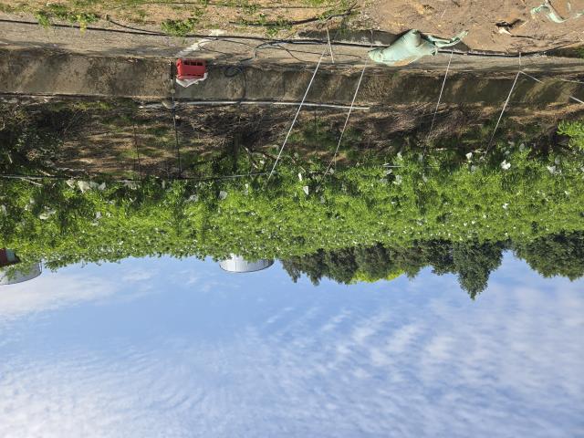 東勢農地_休閒地-1