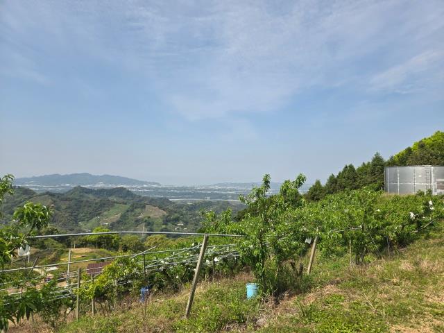 東勢農地_休閒地-1
