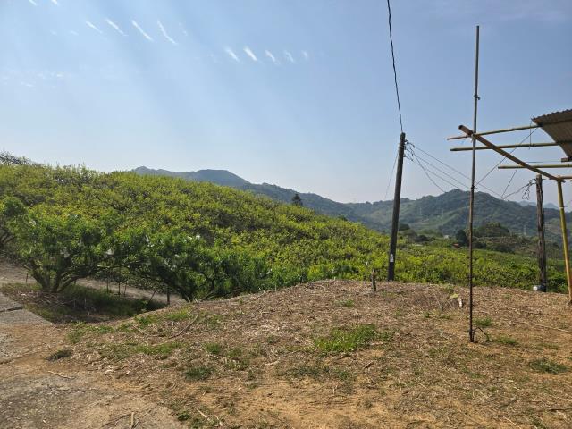 東勢農地_休閒地-3