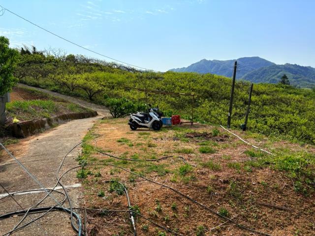 東勢農地_休閒地-7