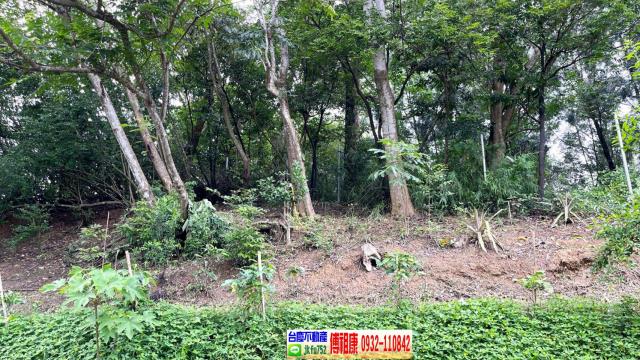 北埔休閒地_林地-12