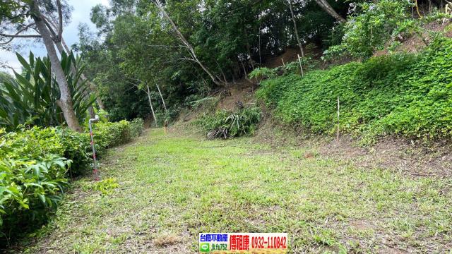 北埔休閒地_林地-1