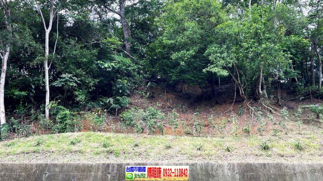 北埔休閒地_林地-5