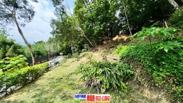 北埔休閒地_林地-6
