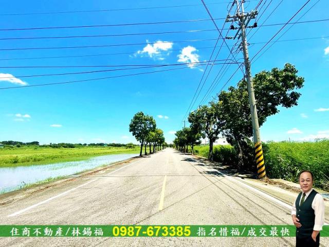 新營農地法拍-0