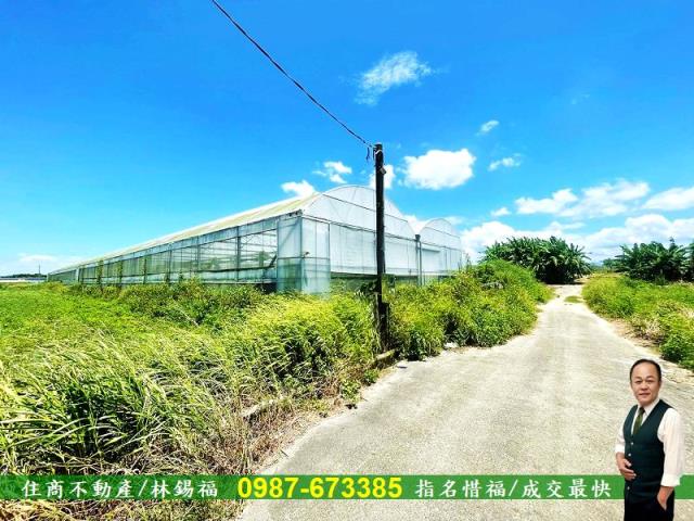 新營農地法拍-5