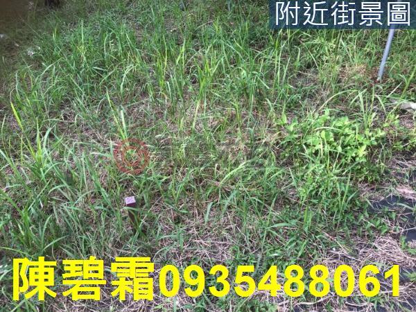 台南農地-2