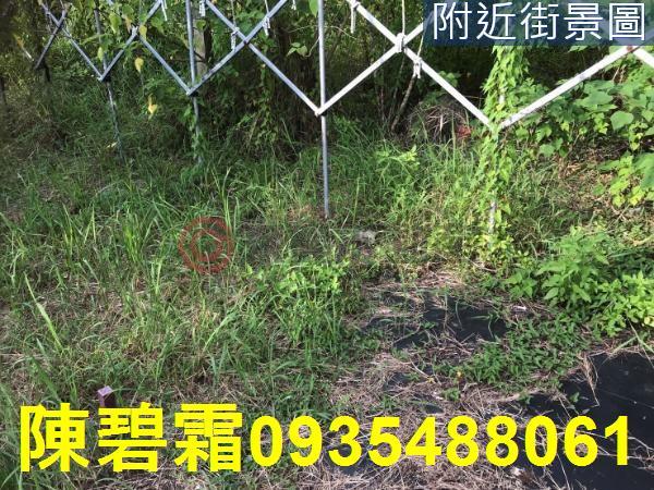 台南農地-3