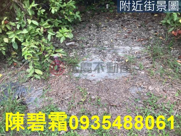台南農地-4