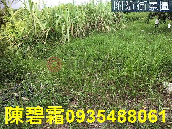 台南農地-1